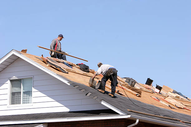 Best Roof Insulation Installation  in Stamps, AR